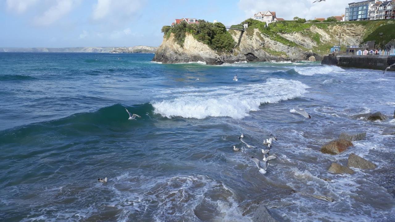 Blue Room Hostel Newquay نيوكويي المظهر الخارجي الصورة