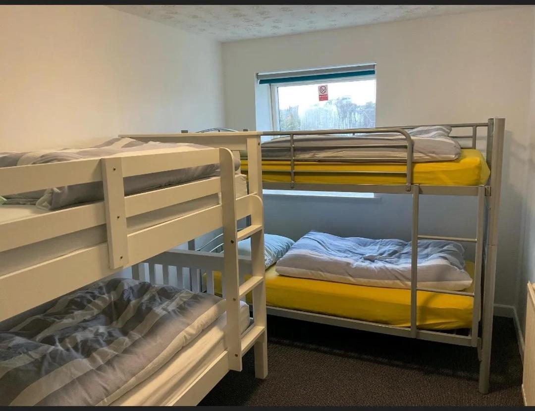 Blue Room Hostel Newquay نيوكويي المظهر الخارجي الصورة