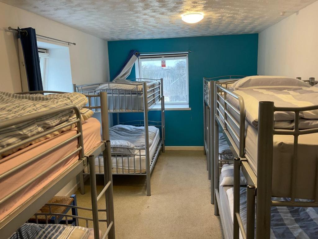 Blue Room Hostel Newquay نيوكويي المظهر الخارجي الصورة