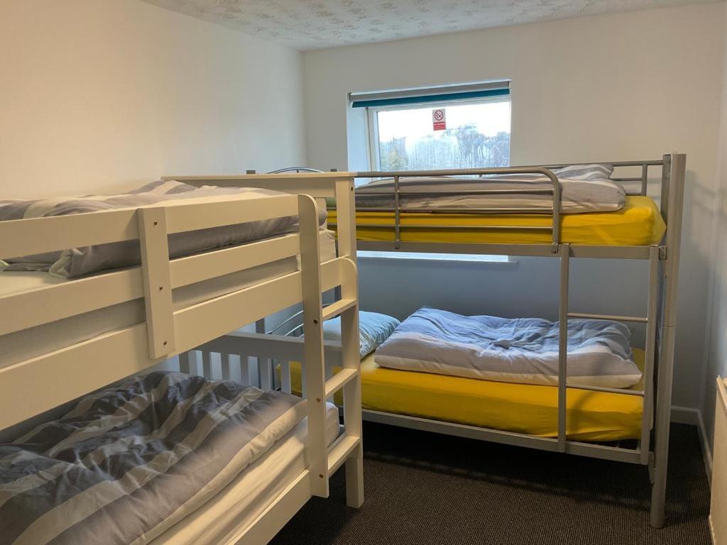 Blue Room Hostel Newquay نيوكويي المظهر الخارجي الصورة